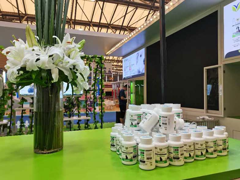 上海展臺設(shè)計搭建公司哪家好